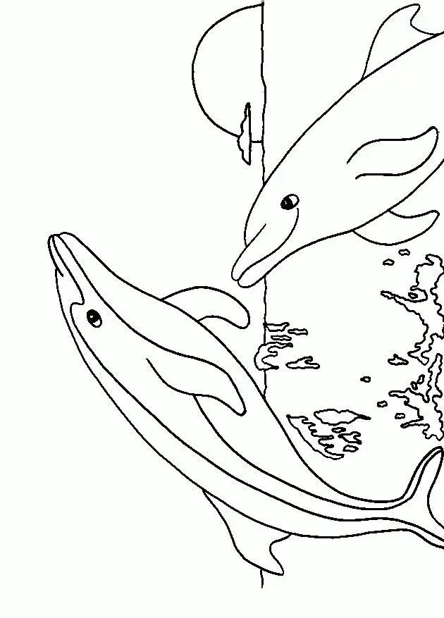 Dolphin Coloring Pages 51