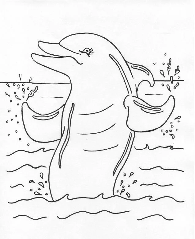 Dolphin Coloring Pages 75