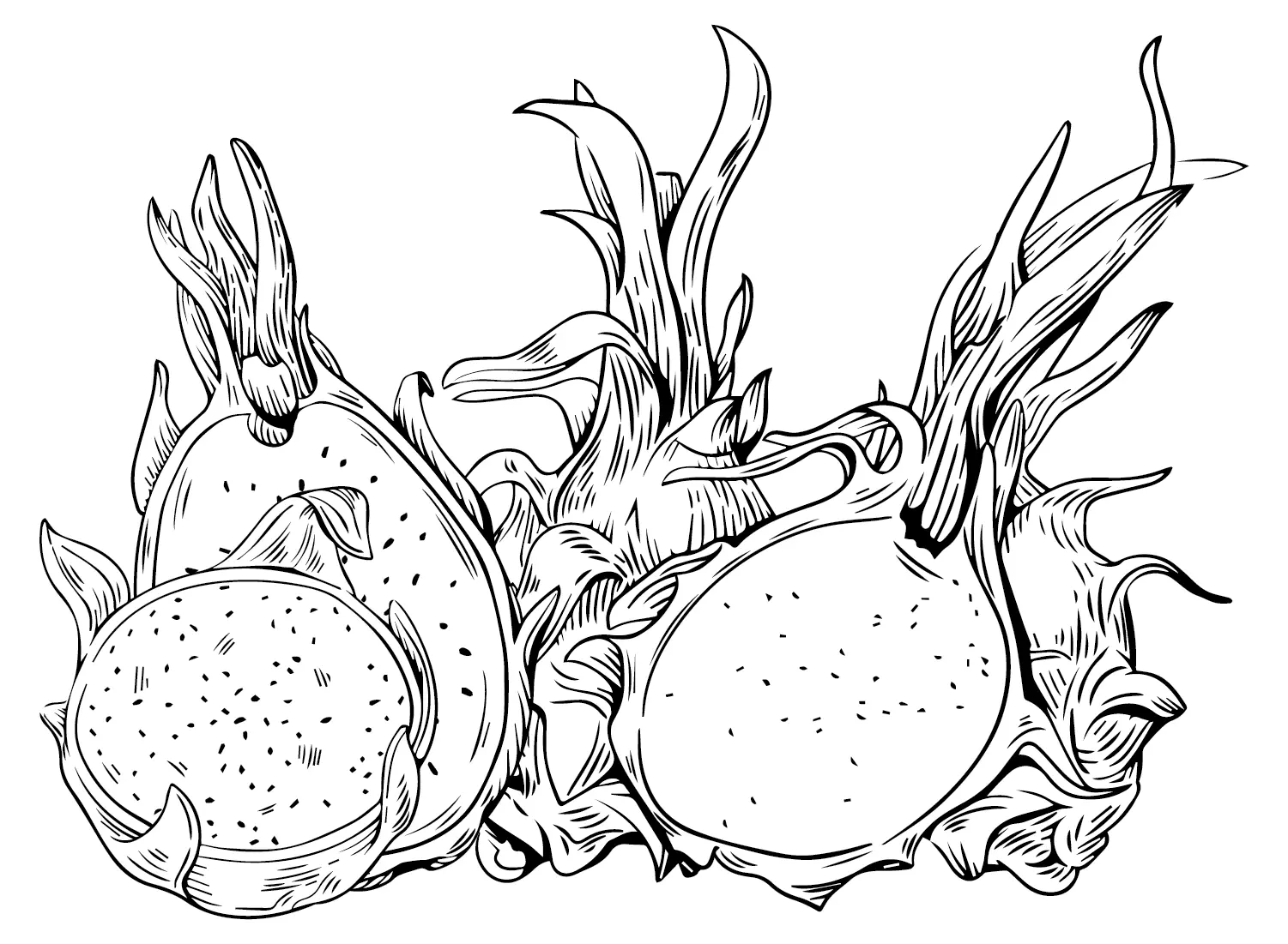Desenhos de Pitaia Para Colorir 10
