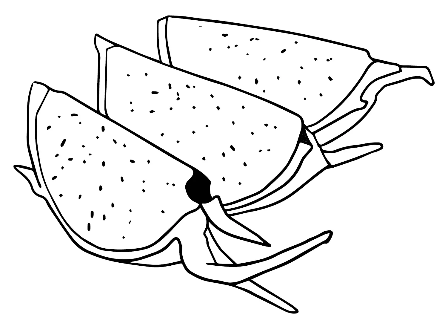 Desenhos de Pitaia Para Colorir 22