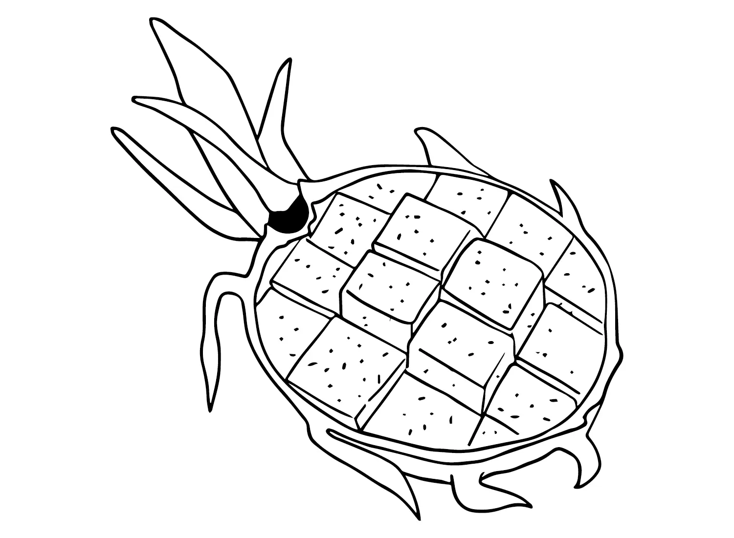 Desenhos de Pitaia Para Colorir 9