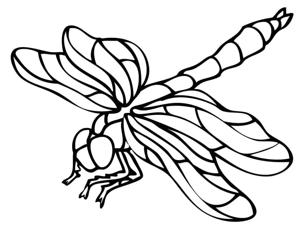 Libellen Ausmalbilder 10