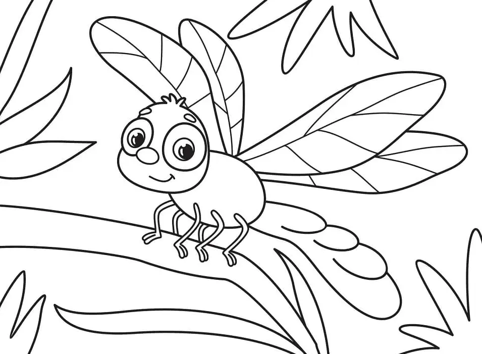 Libellen Ausmalbilder 12