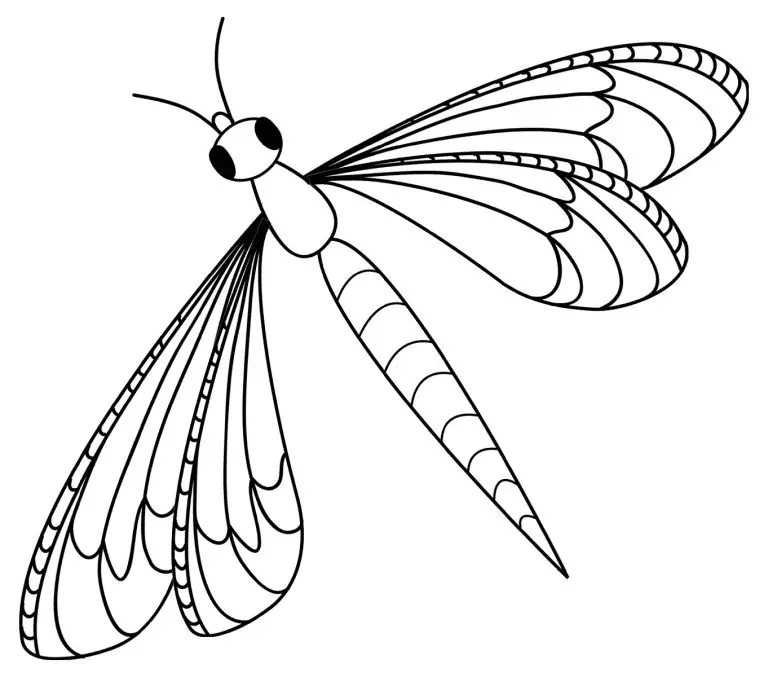 Libellen Ausmalbilder 9