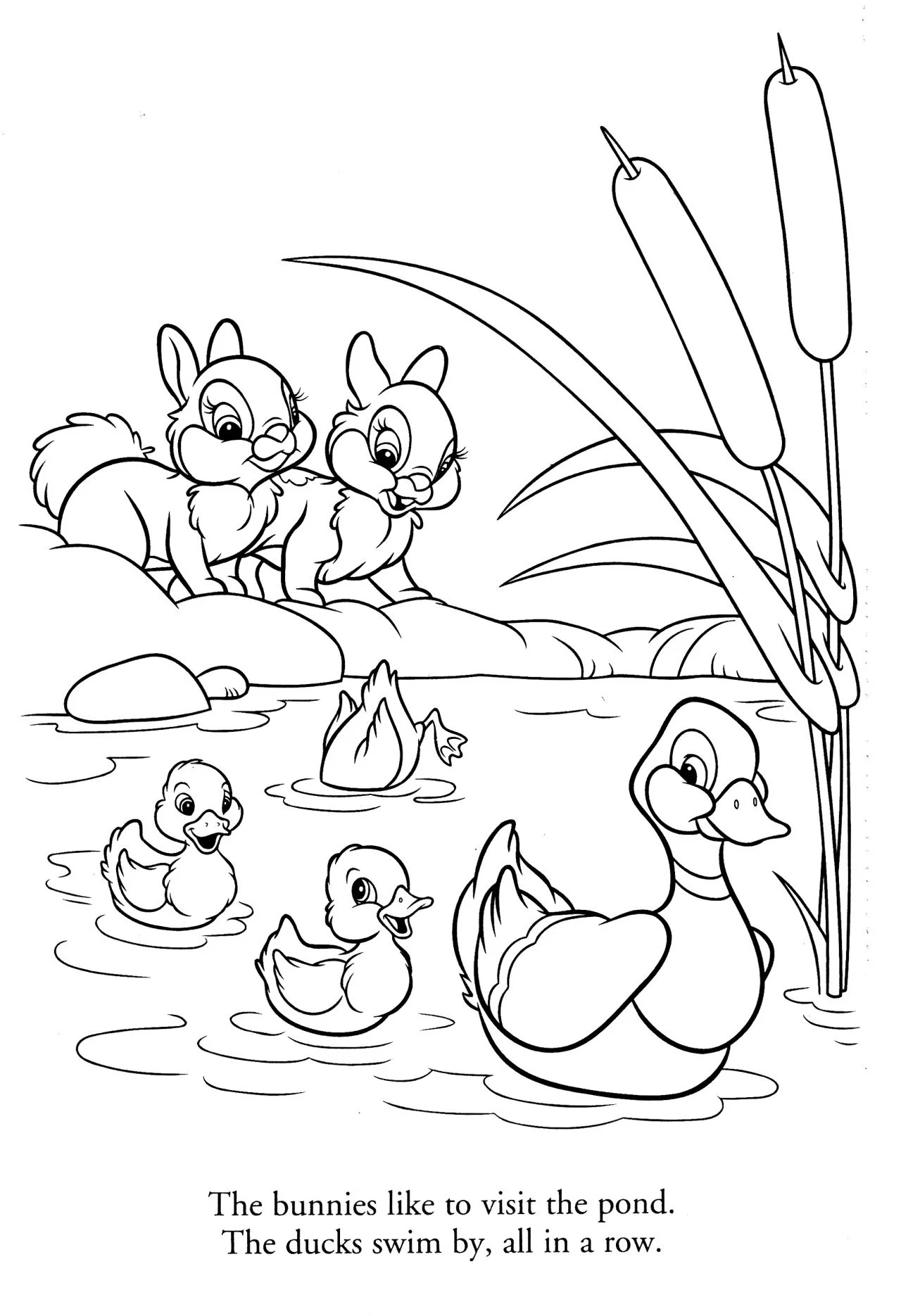 Ducks Coloring Pages 3