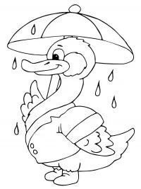 Ducks Coloring Pages 50