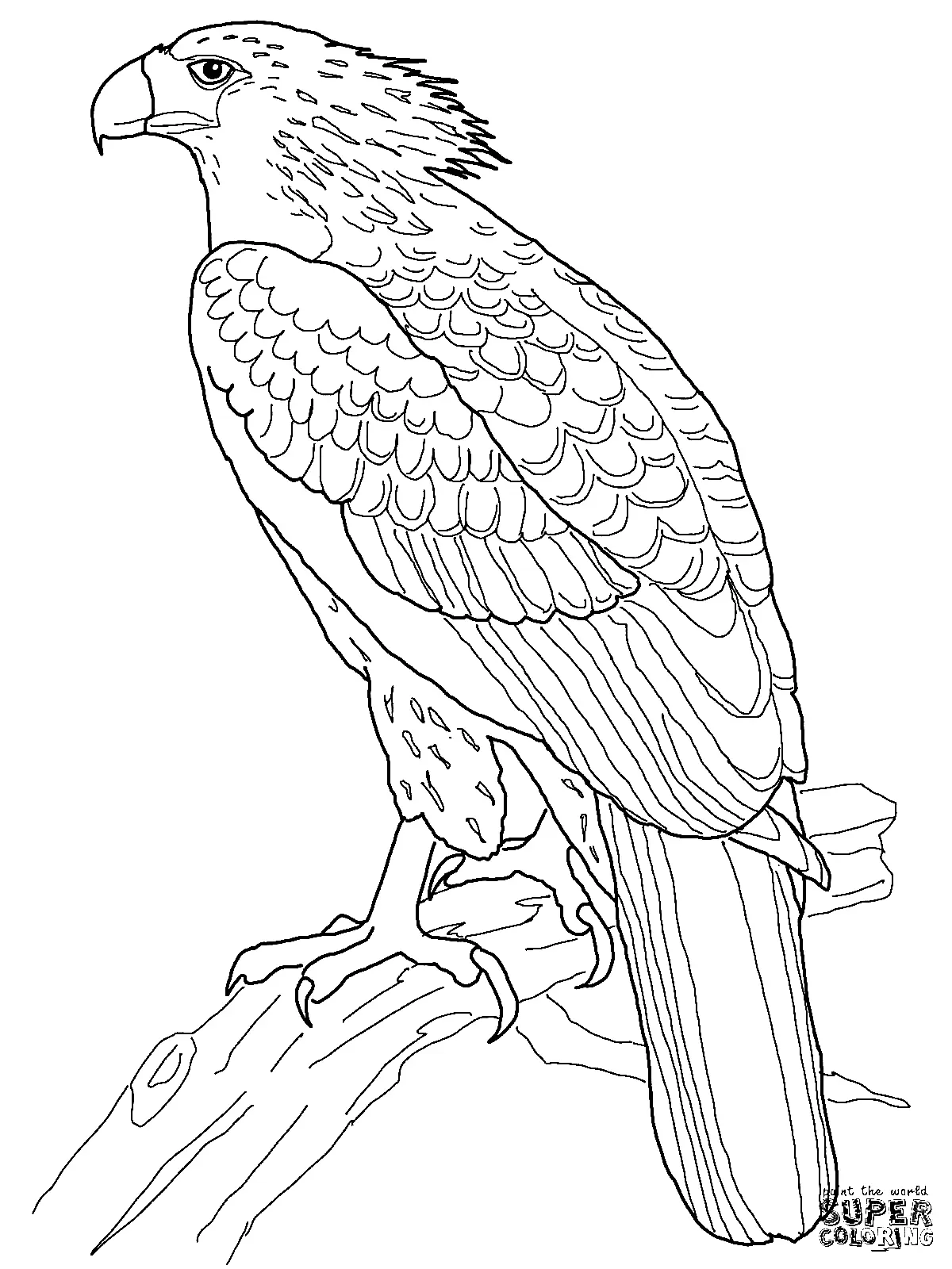 Eagle Coloring Pages 32