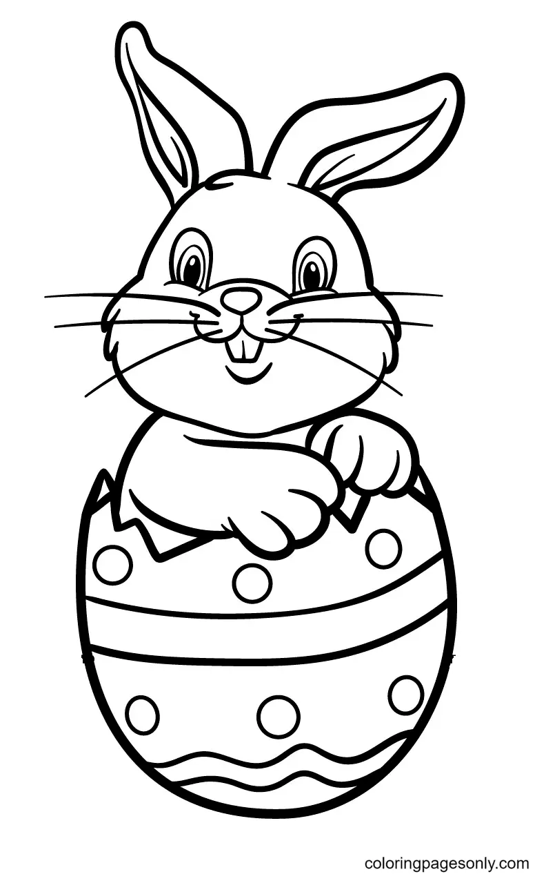 Conejito Pascua Para Colorear 4