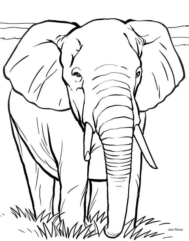 Elefant Ausmalbilder 36