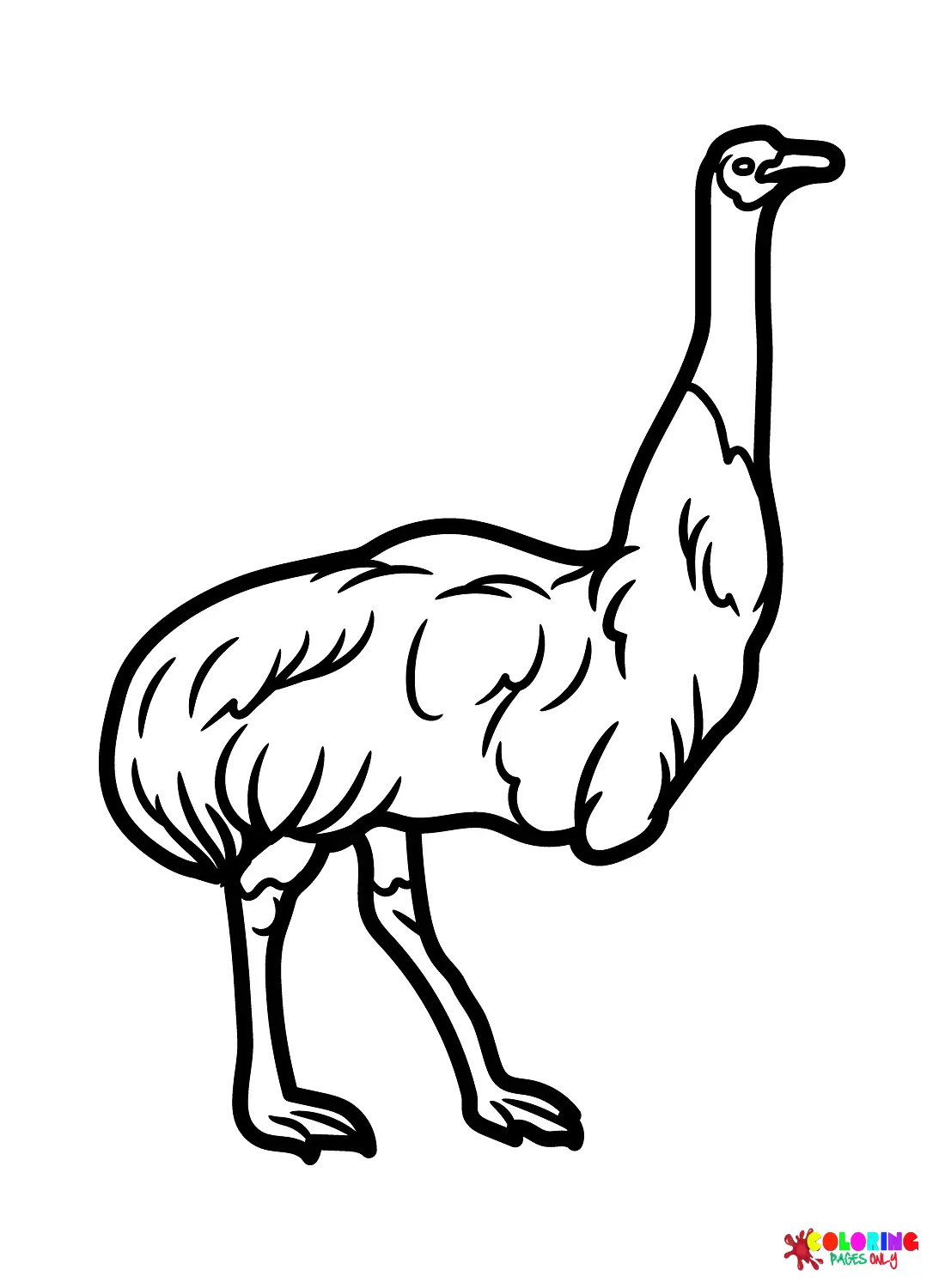 Emu Coloring Pages 18