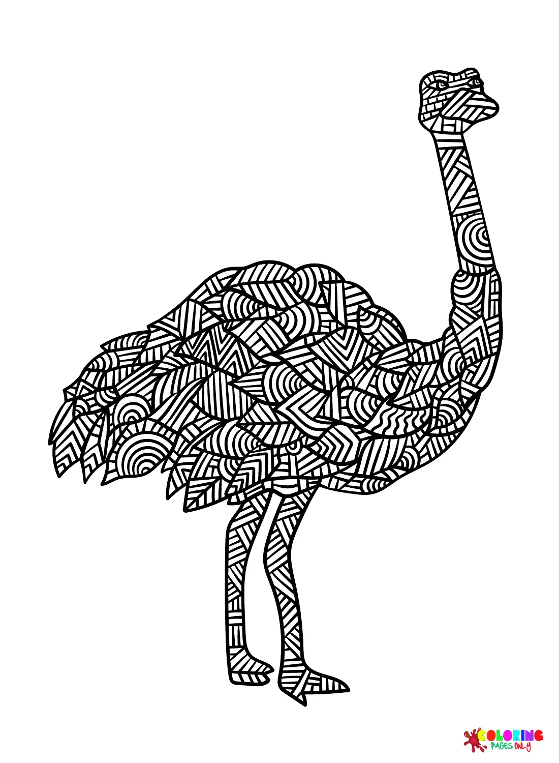 Emu Coloring Pages 20