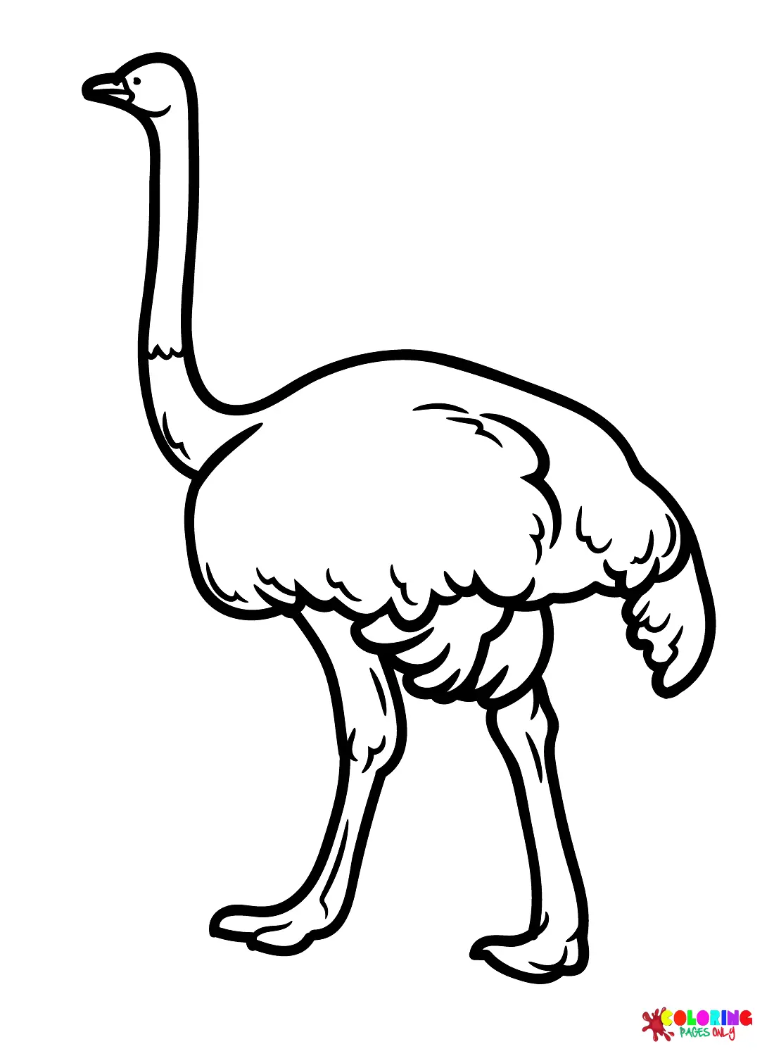 Emu Coloring Pages 8