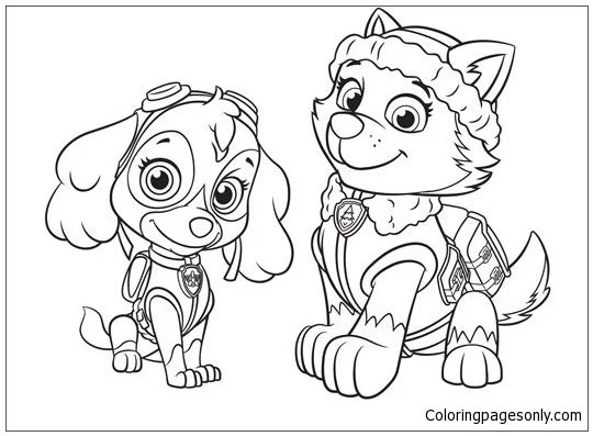 Paw Patrol Everest Para Colorear 10