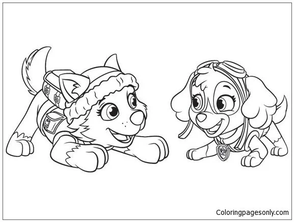 Paw Patrol Everest Para Colorear 15