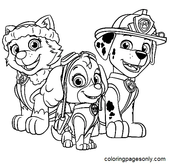 Paw Patrol Everest Para Colorear 8