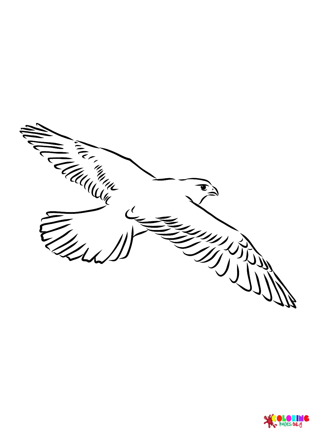 Falcon Coloring Pages 12