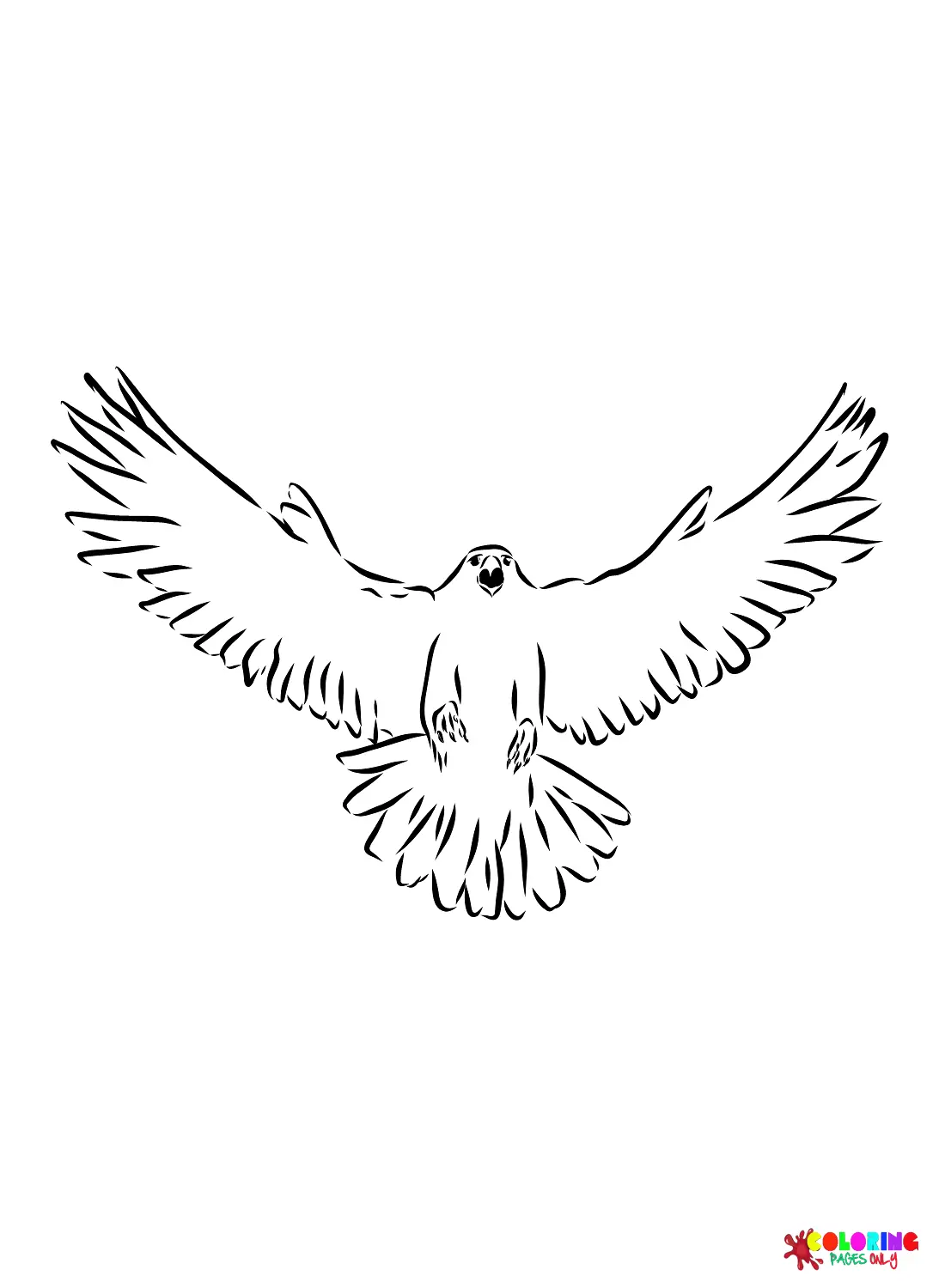 Falcon Coloring Pages 13