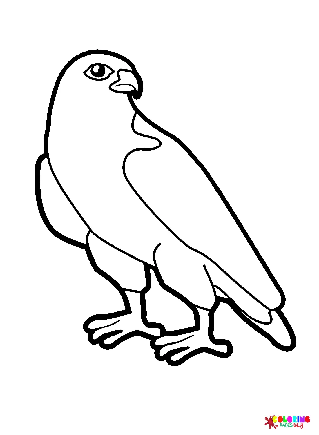 Falcon Coloring Pages 14