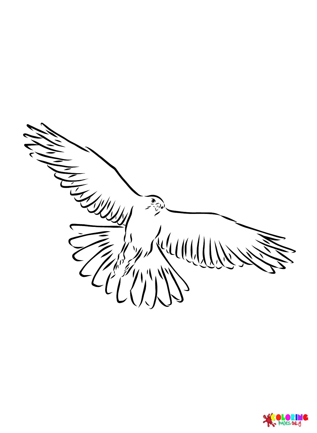 Falcon Coloring Pages 15
