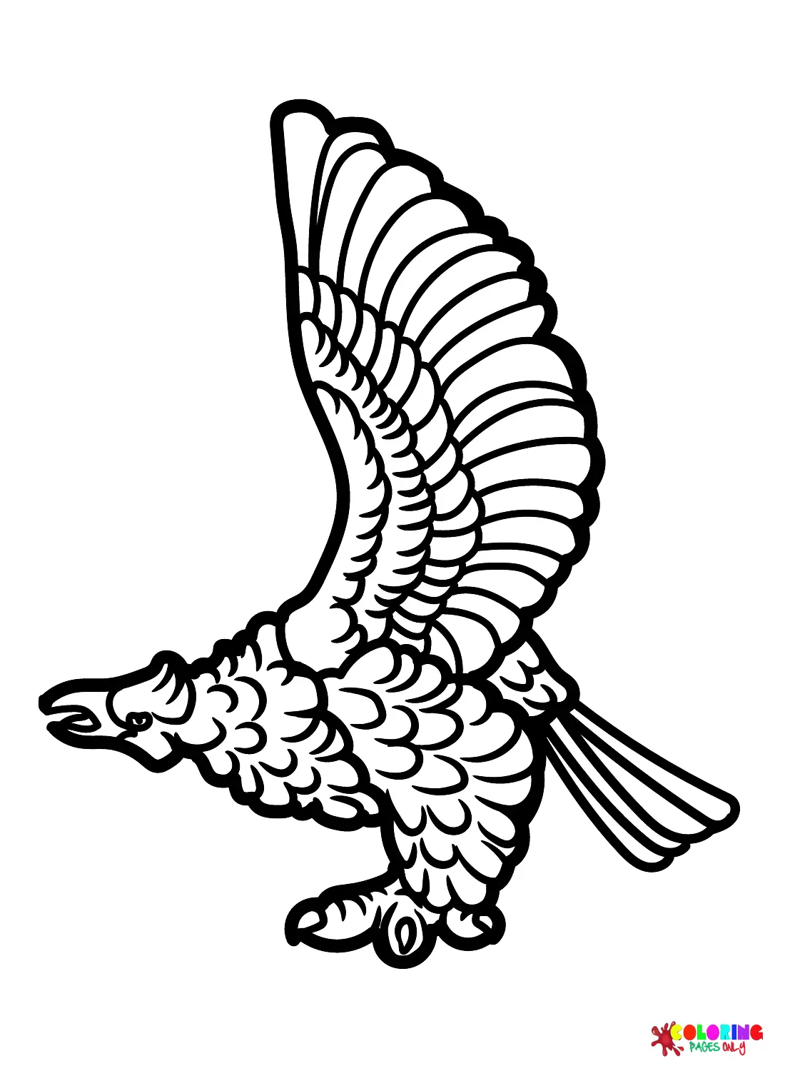 Falcon Coloring Pages 4