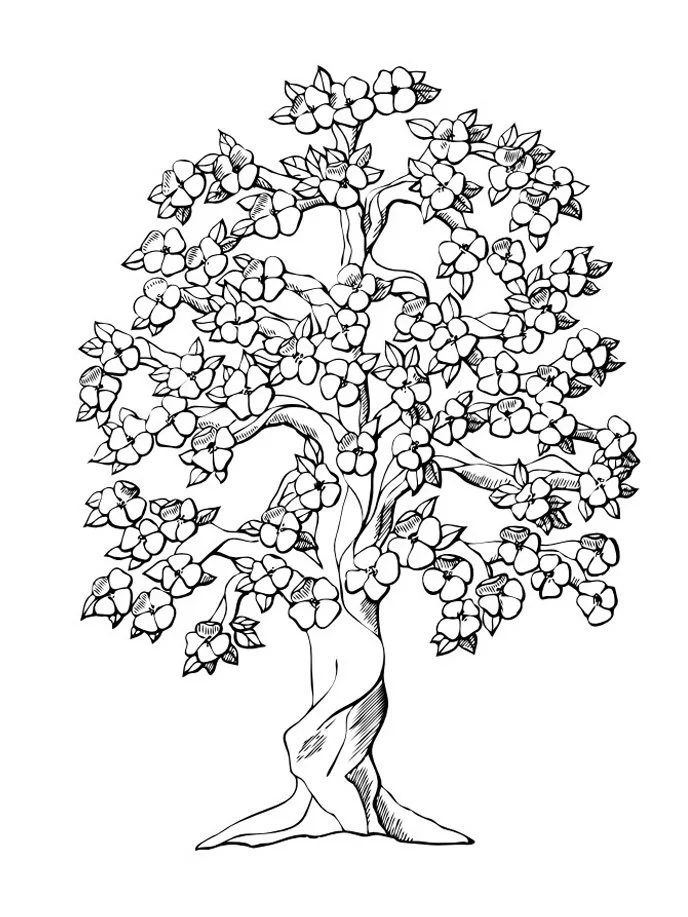 Fall Trees Coloring Pages 35