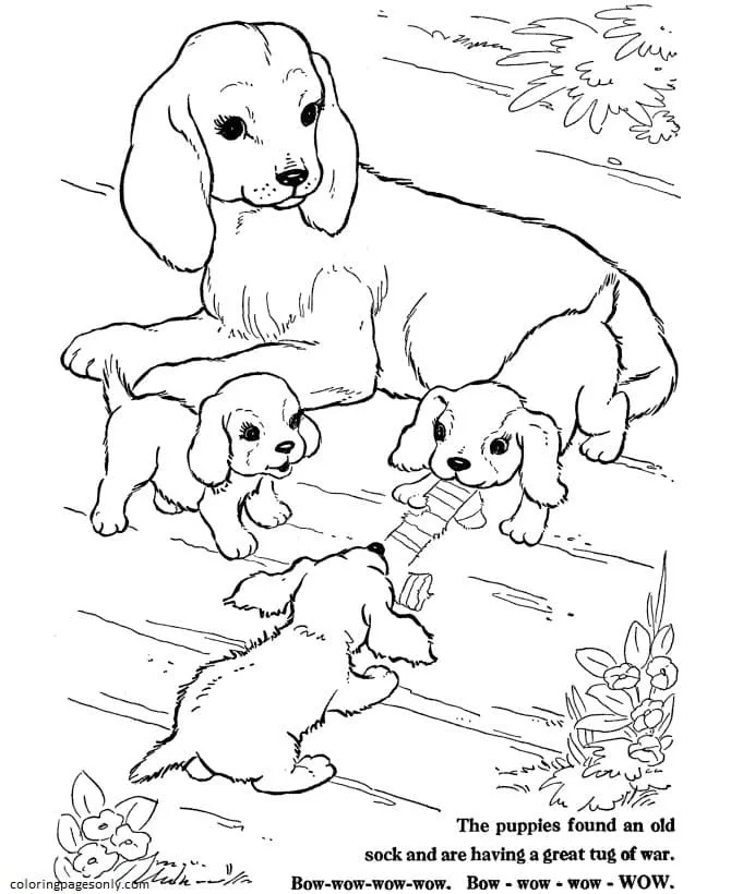 Farm Animal Coloring Pages 12