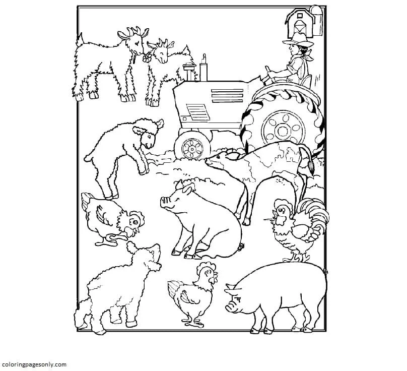 Farm Animal Coloring Pages 15