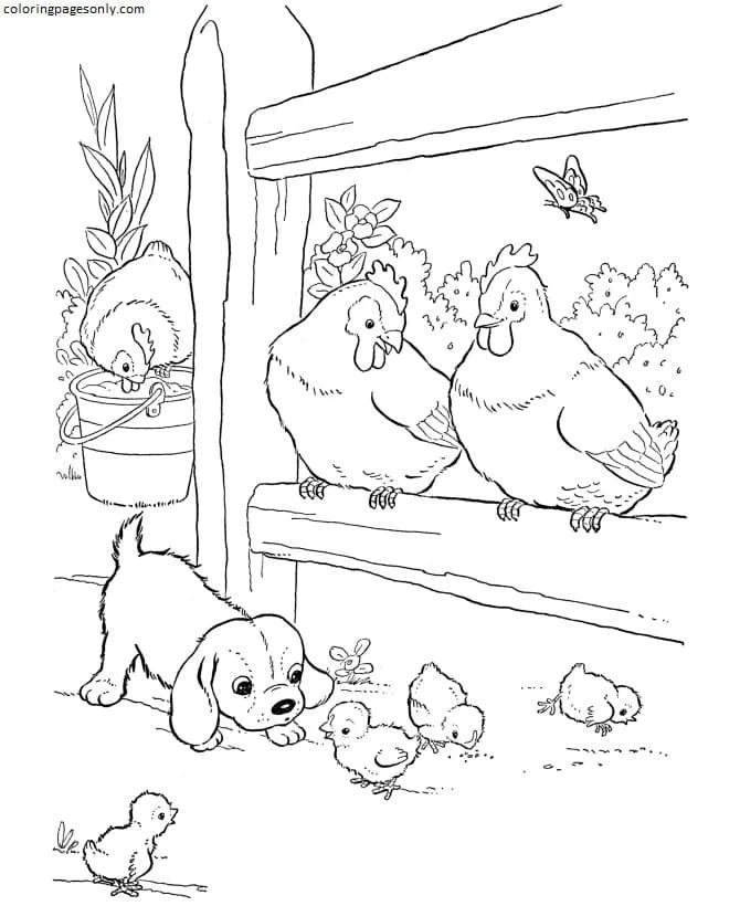 Farm Animal Coloring Pages 2