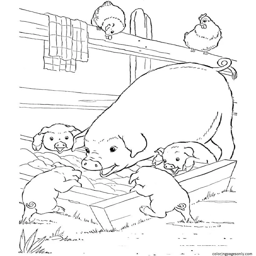 Farm Animal Coloring Pages 20