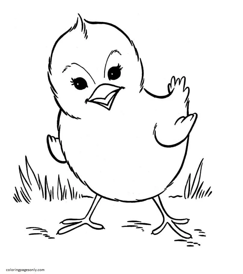 Farm Animal Coloring Pages 26