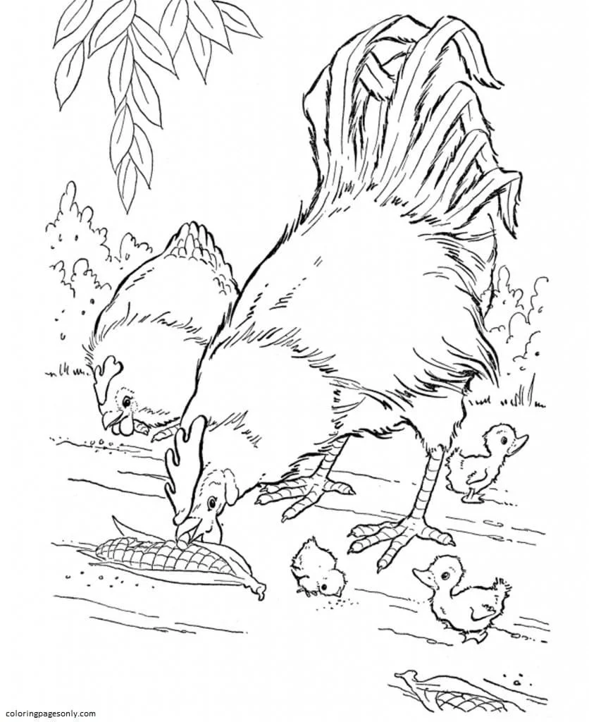 Farm Animal Coloring Pages 27