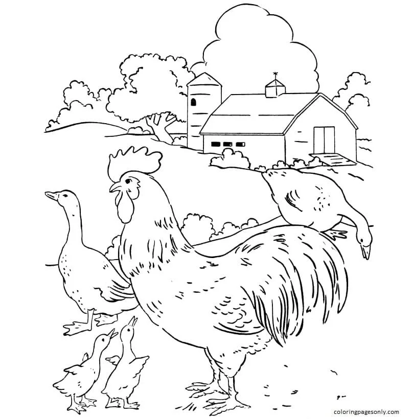 Farm Animal Coloring Pages 30
