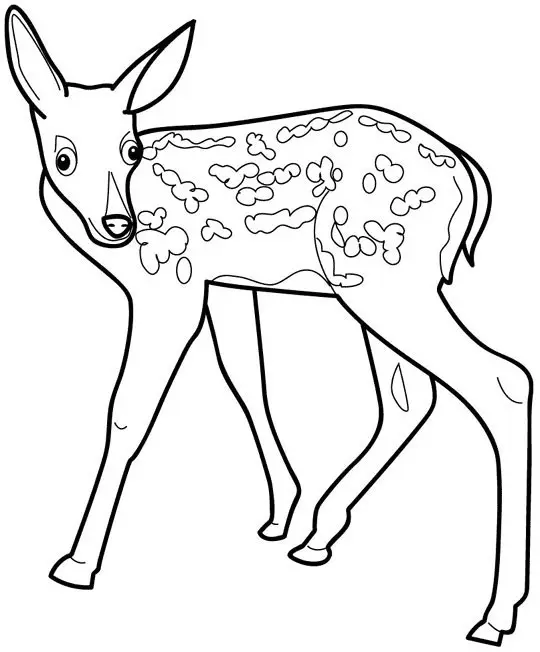 Reh Ausmalbilder 87