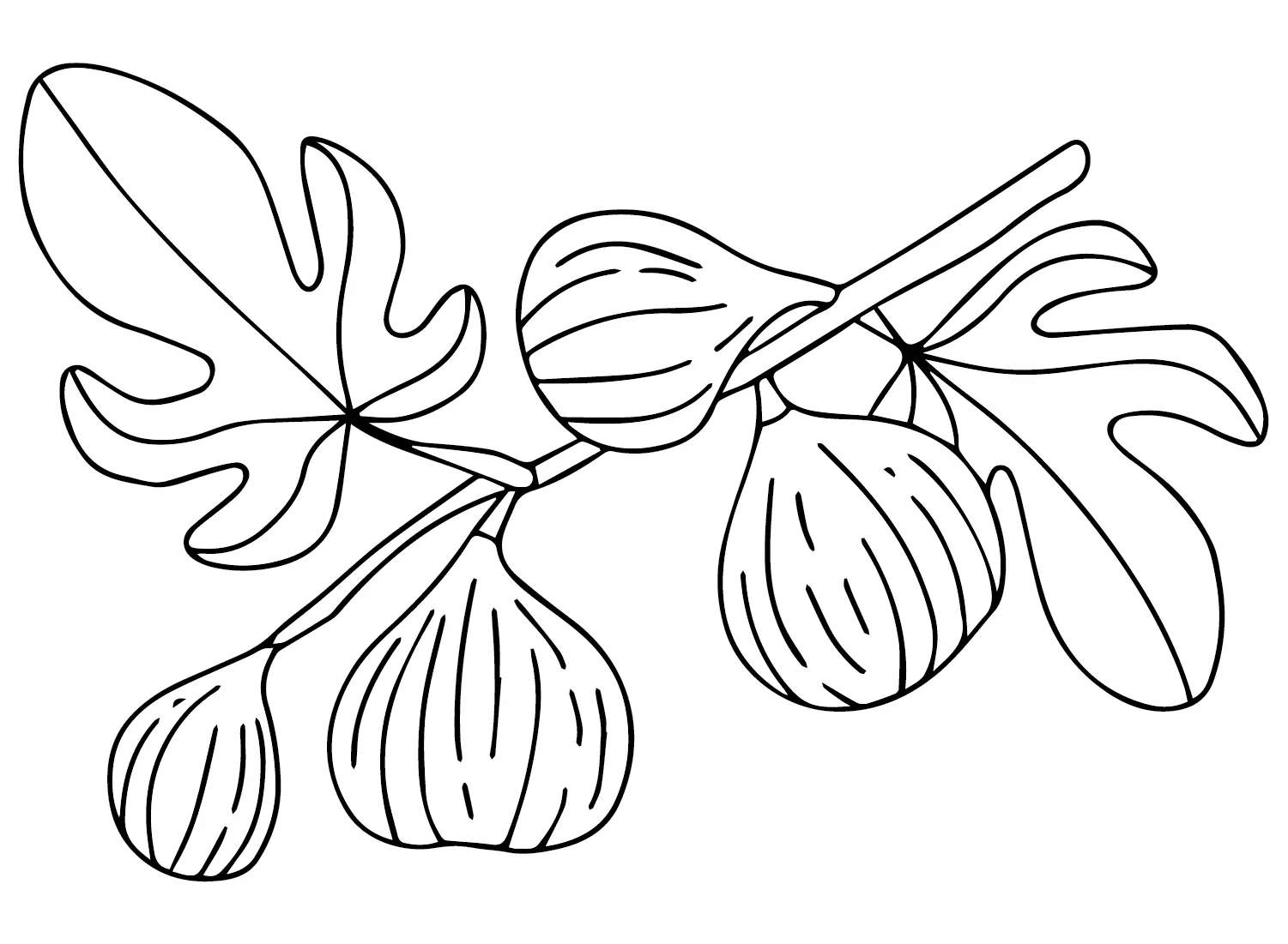 Figs Coloring Pages 11