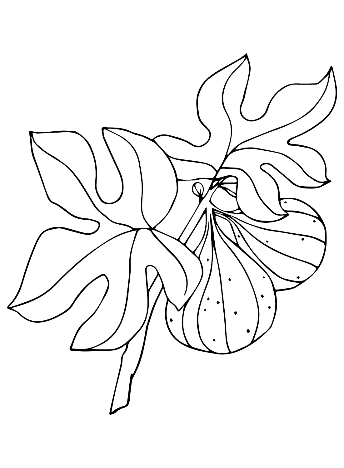 Figs Coloring Pages 12