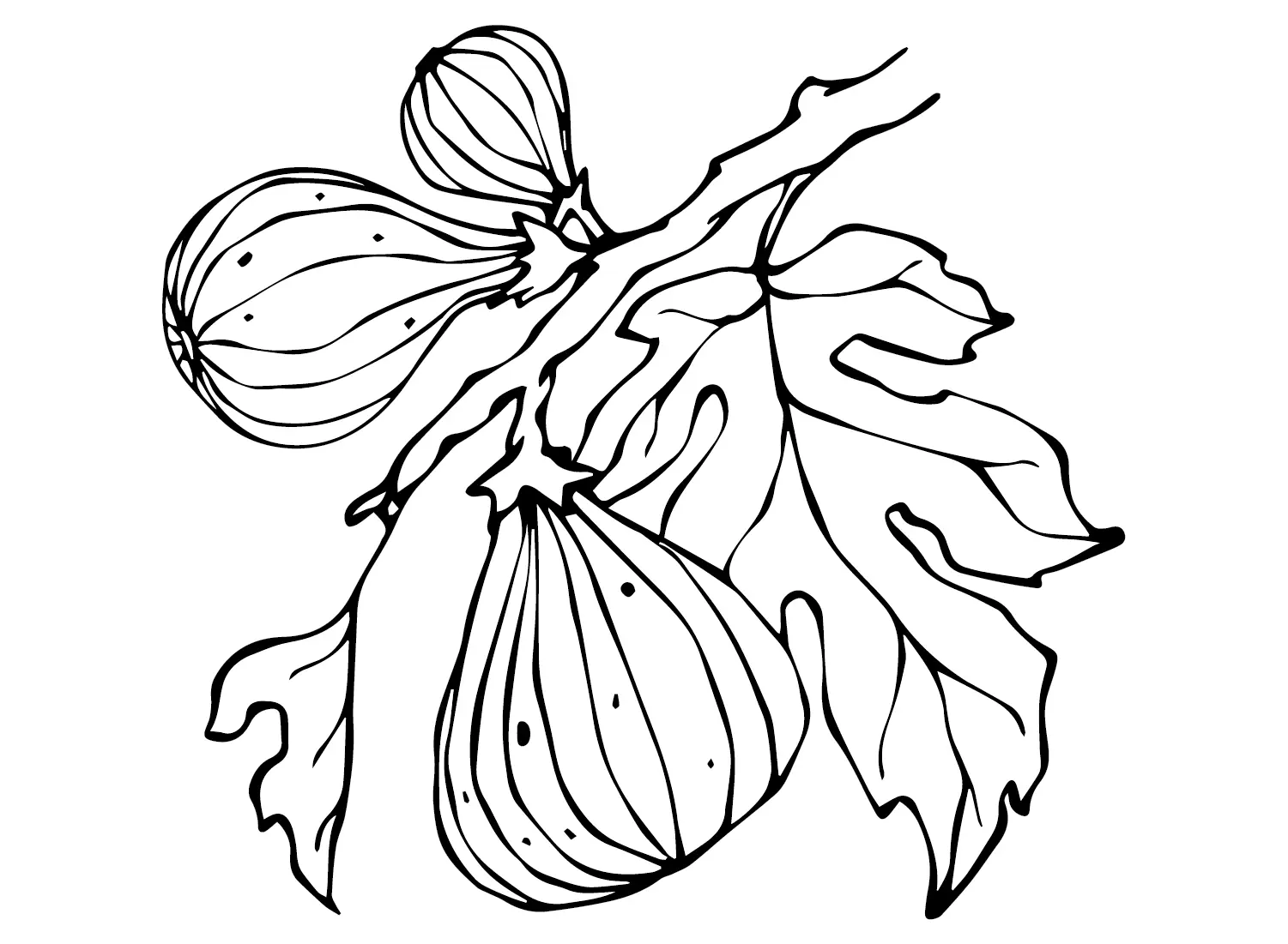 Figs Coloring Pages 6
