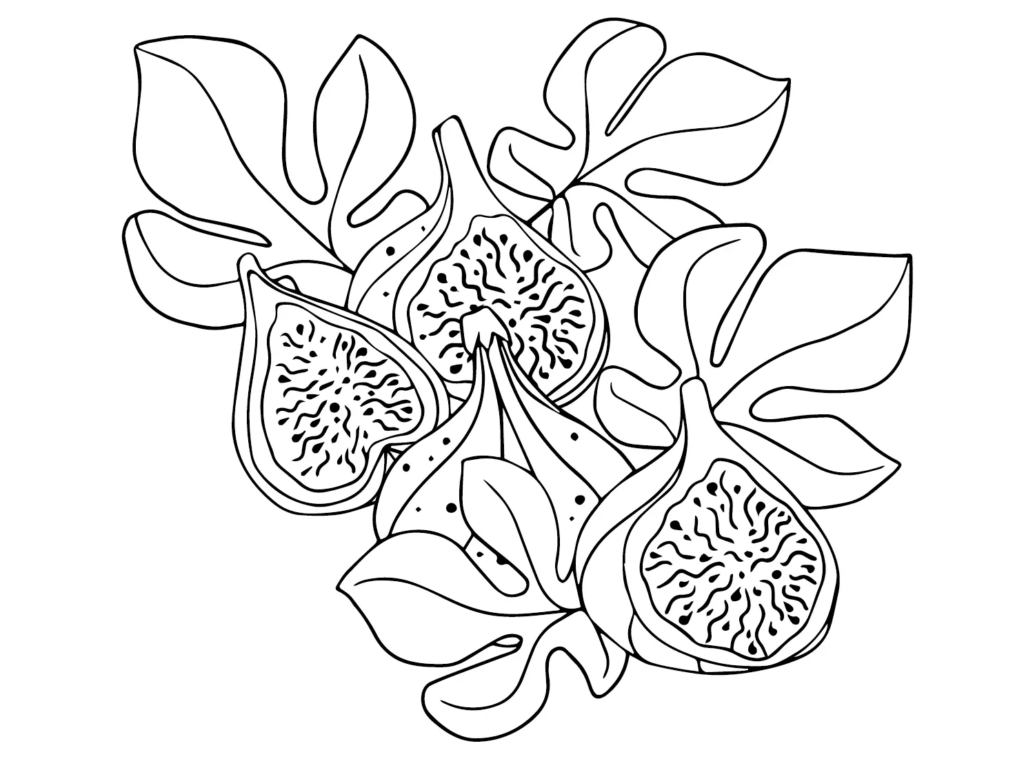 Figs Coloring Pages 9