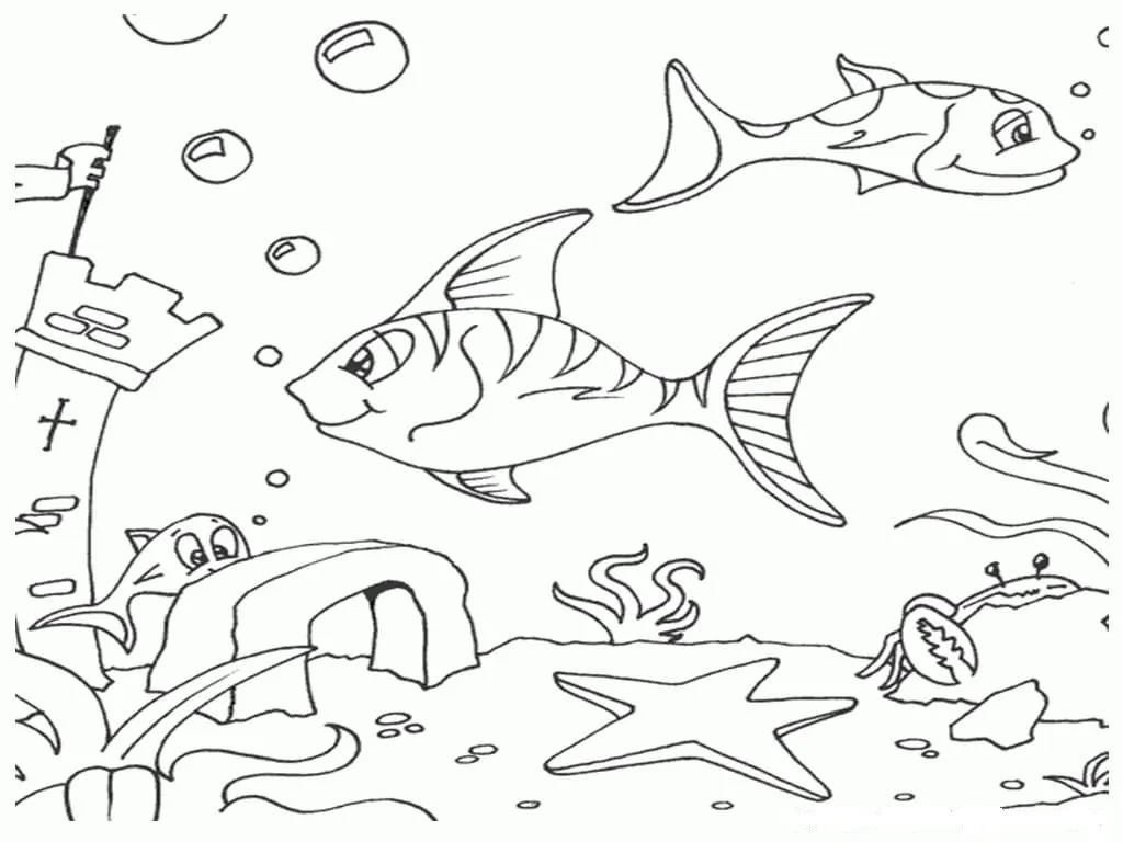 Peceras Para Colorear 37