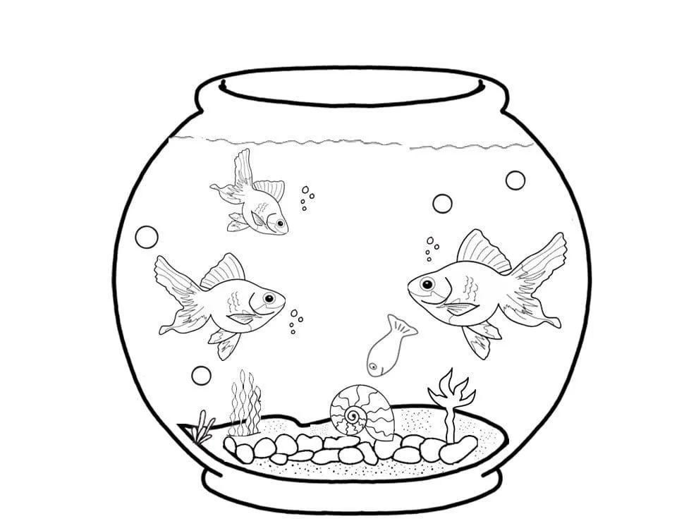 Peceras Para Colorear 52
