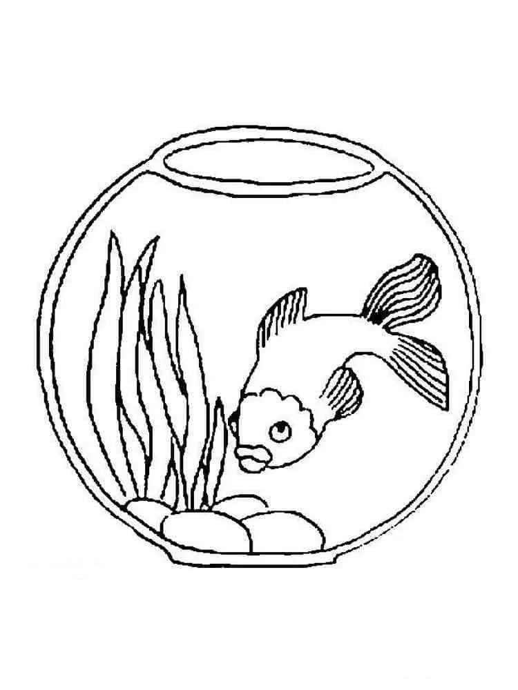 Peceras Para Colorear 63
