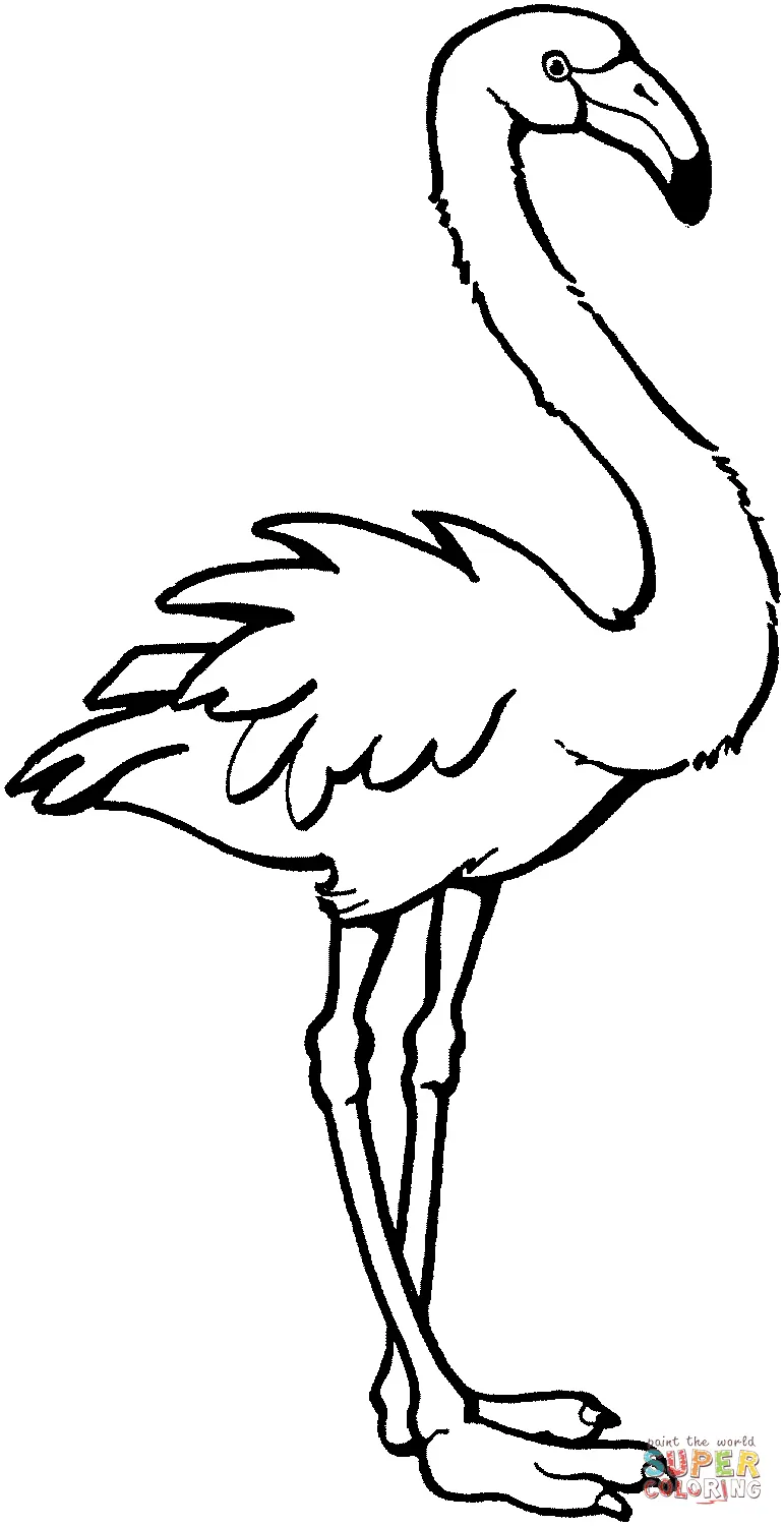 Ausmalbilder Flamingo 30