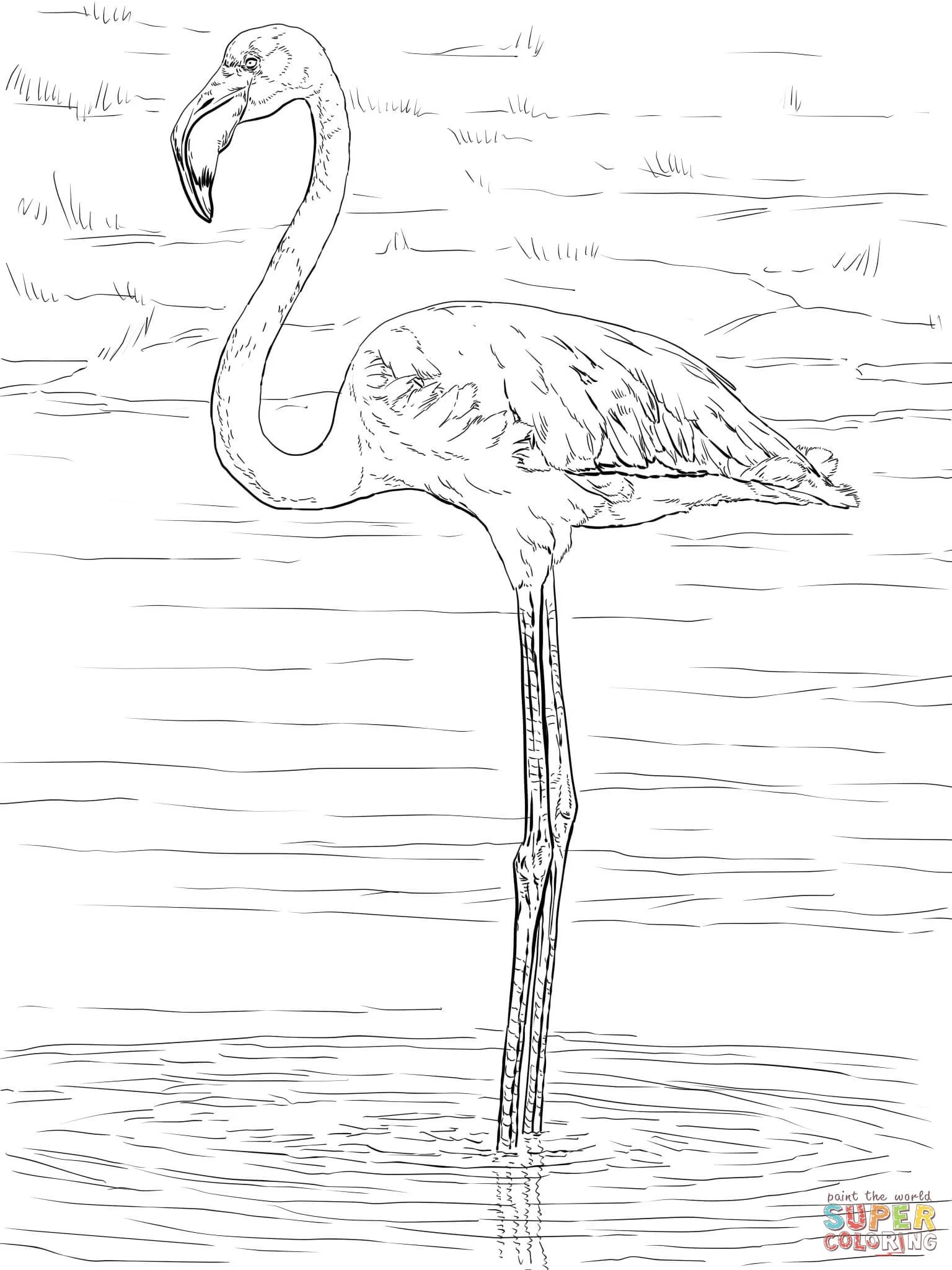 Ausmalbilder Flamingo 32