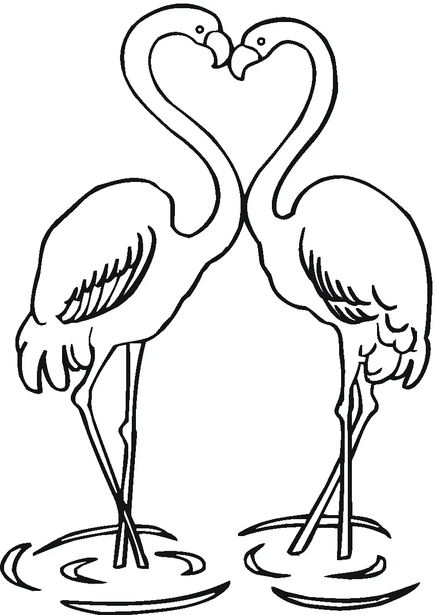 Ausmalbilder Flamingo 5