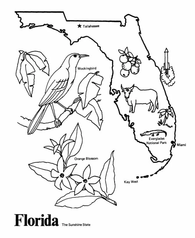 Florida Coloring Pages 41