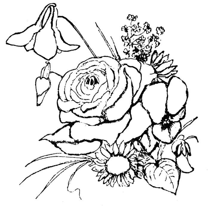 Flores para Colorir 17