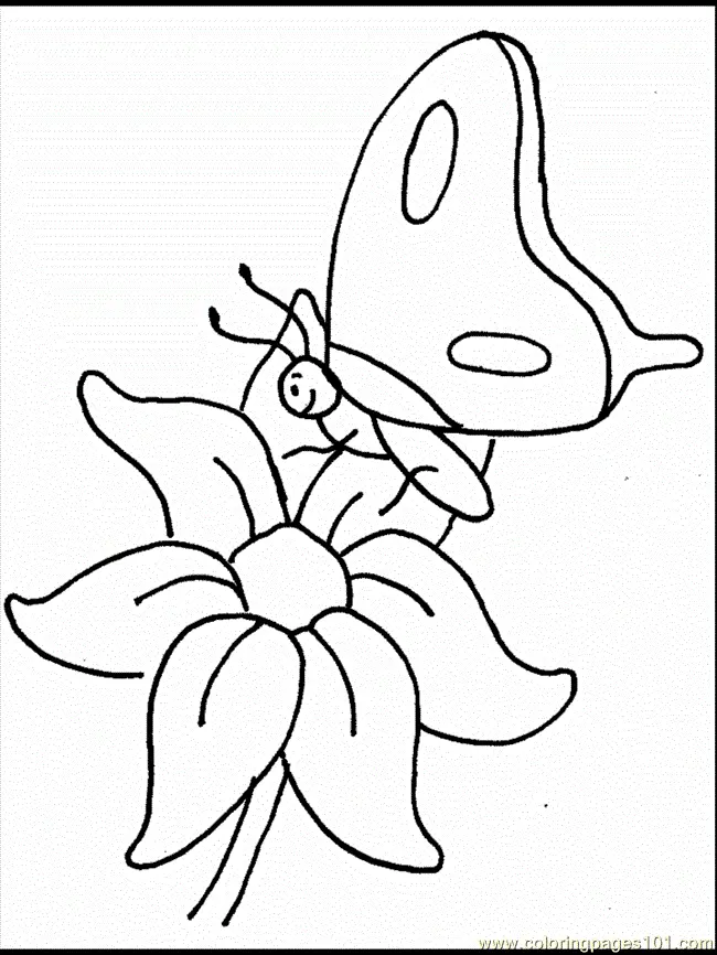 Flores para Colorir 27