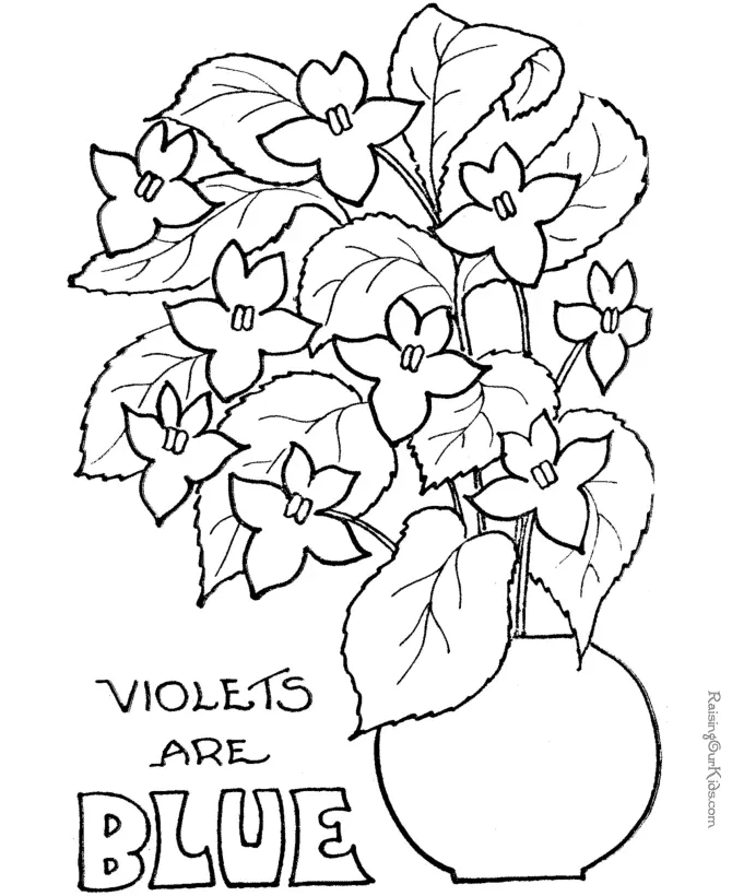Flores para Colorir 46