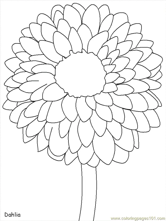 Flores para Colorir 7