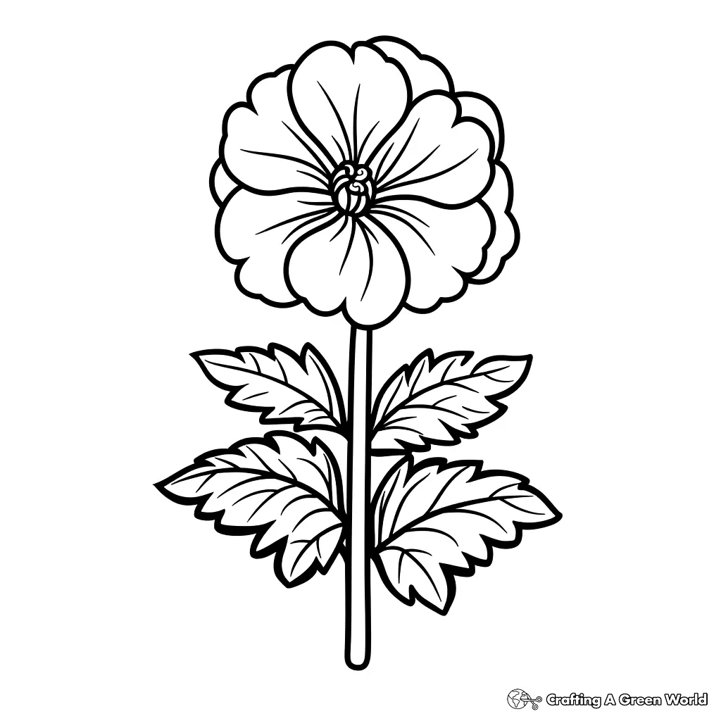 Flores para Colorir 74