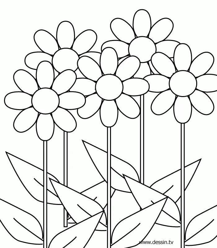 Flower Pot Coloring Pages 34